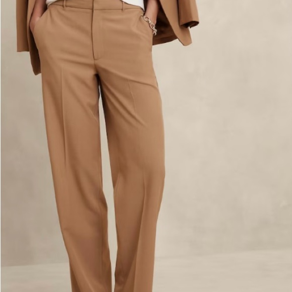 Size 10 regular sculpted stretch dress pants from Banana Republic